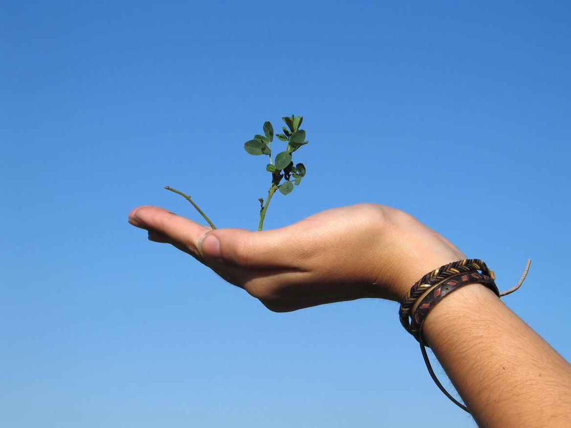 Can you push your potential when life is comfortable? Discover why comfort leads to stagnation and how to achieve more